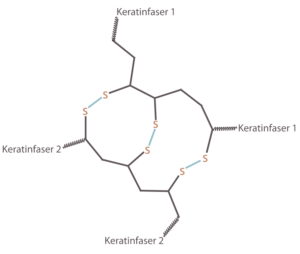 Strukturformel Keratin mit Disulfidbrücken